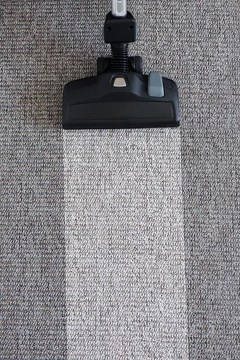 image of a carpet extractor cleaning a floor